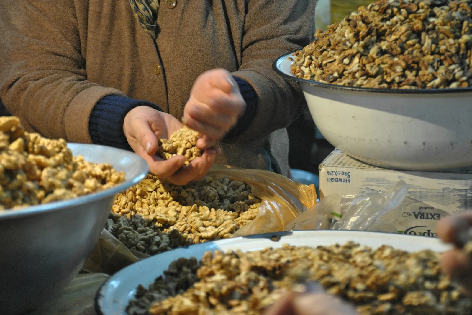 Livadă de nuci în Sălaj, unde familia Canuca culege nuca din floră spontană din 2008